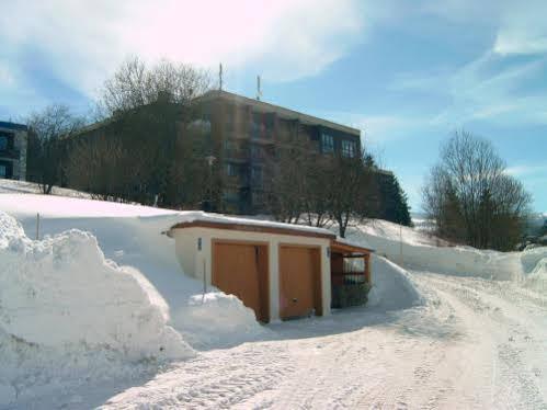 Haus Hochstein Aparthotel Haidmuhle Exterior photo
